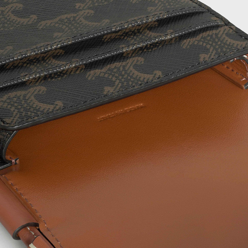 Phone Pouch in Triomphe Canvas and Calfskin 4