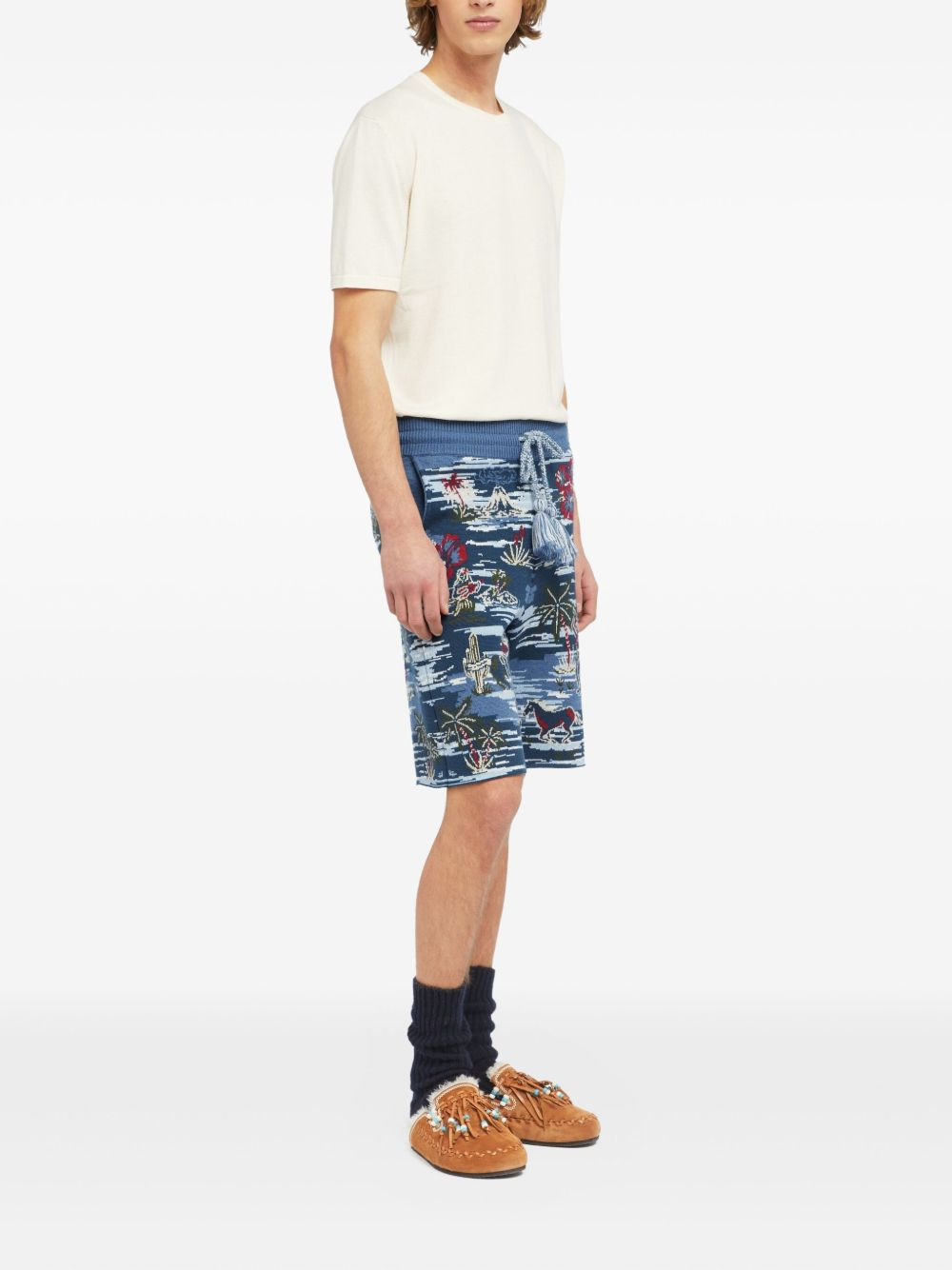 Tex-Hawaii Roundtrip shorts - 3