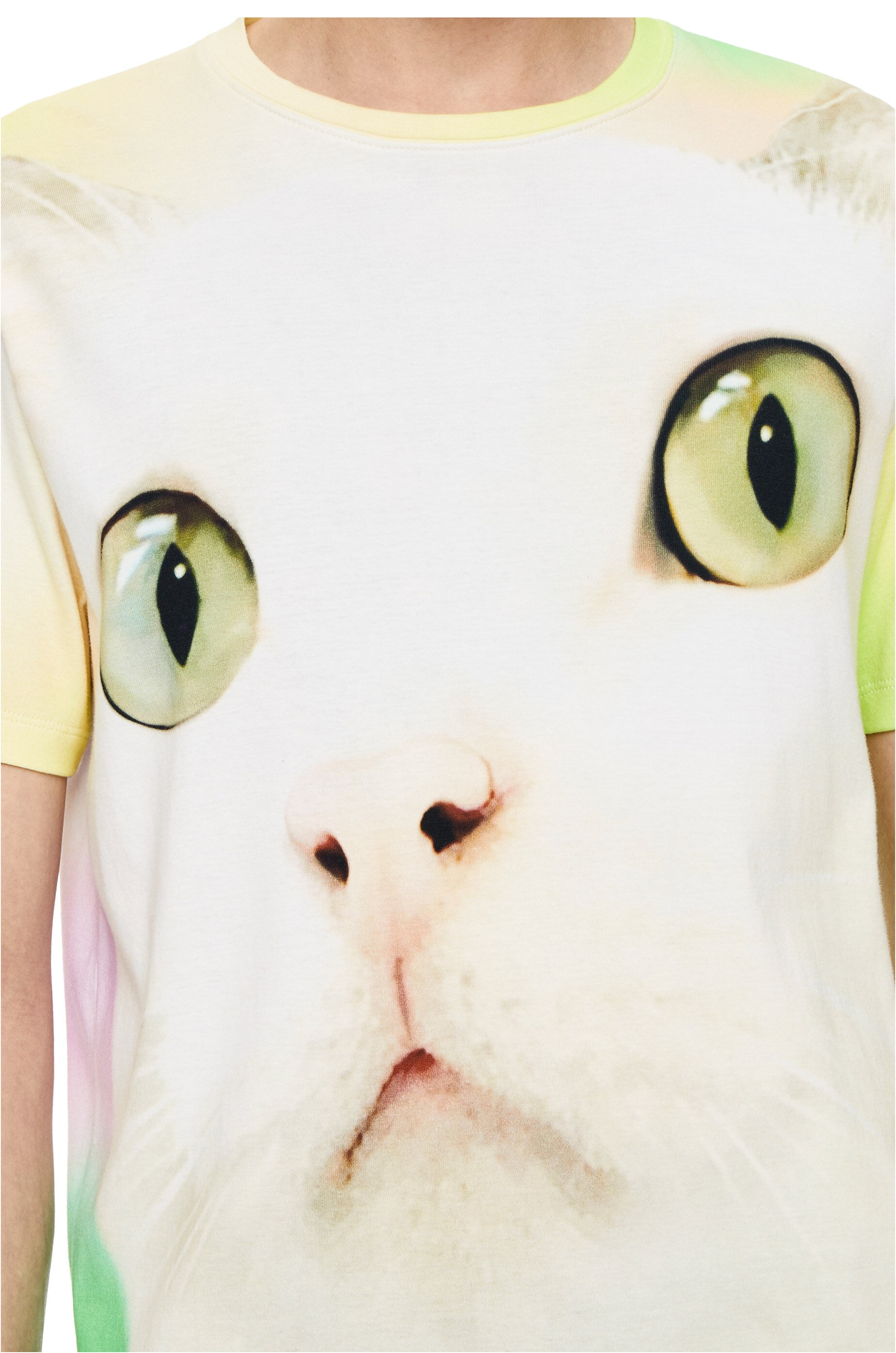 Cat all-over print T-shirt in cotton - 5