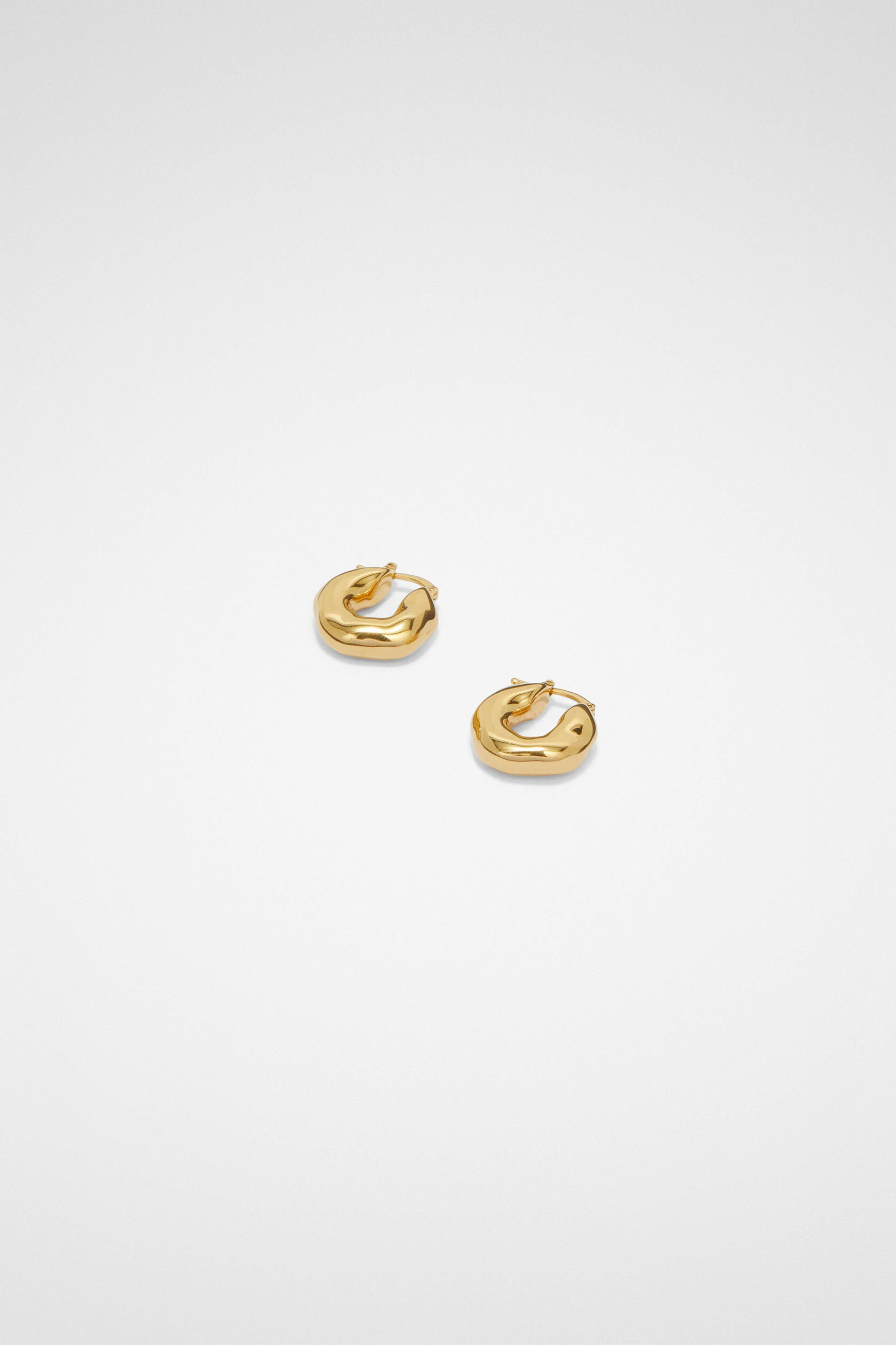 Earrings - 2