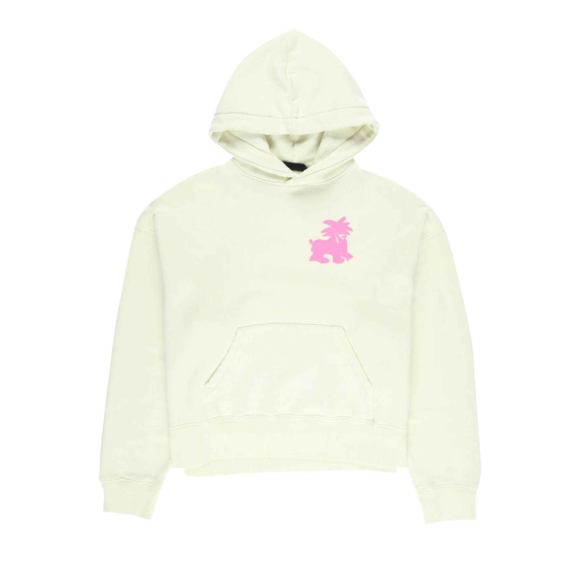 Palm Angels Leon Classic Hoodie 'Pale Green/Fuchsia' - 1