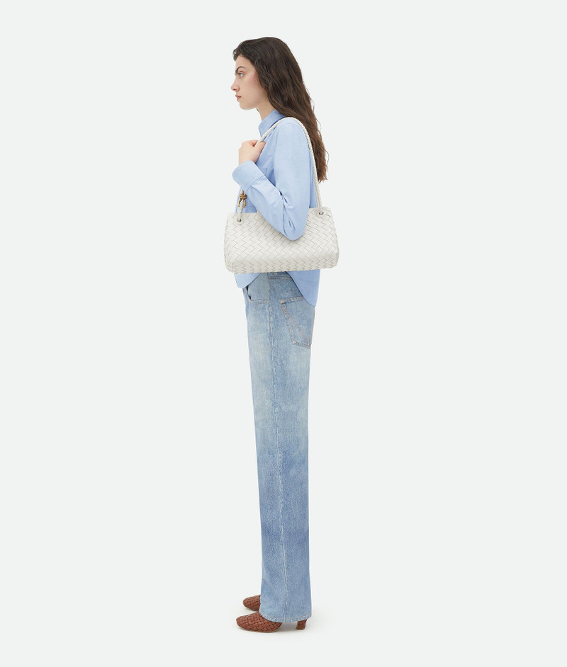Bottega Veneta Small Andiamo outlook