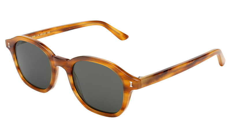 William Sunglasses 5
