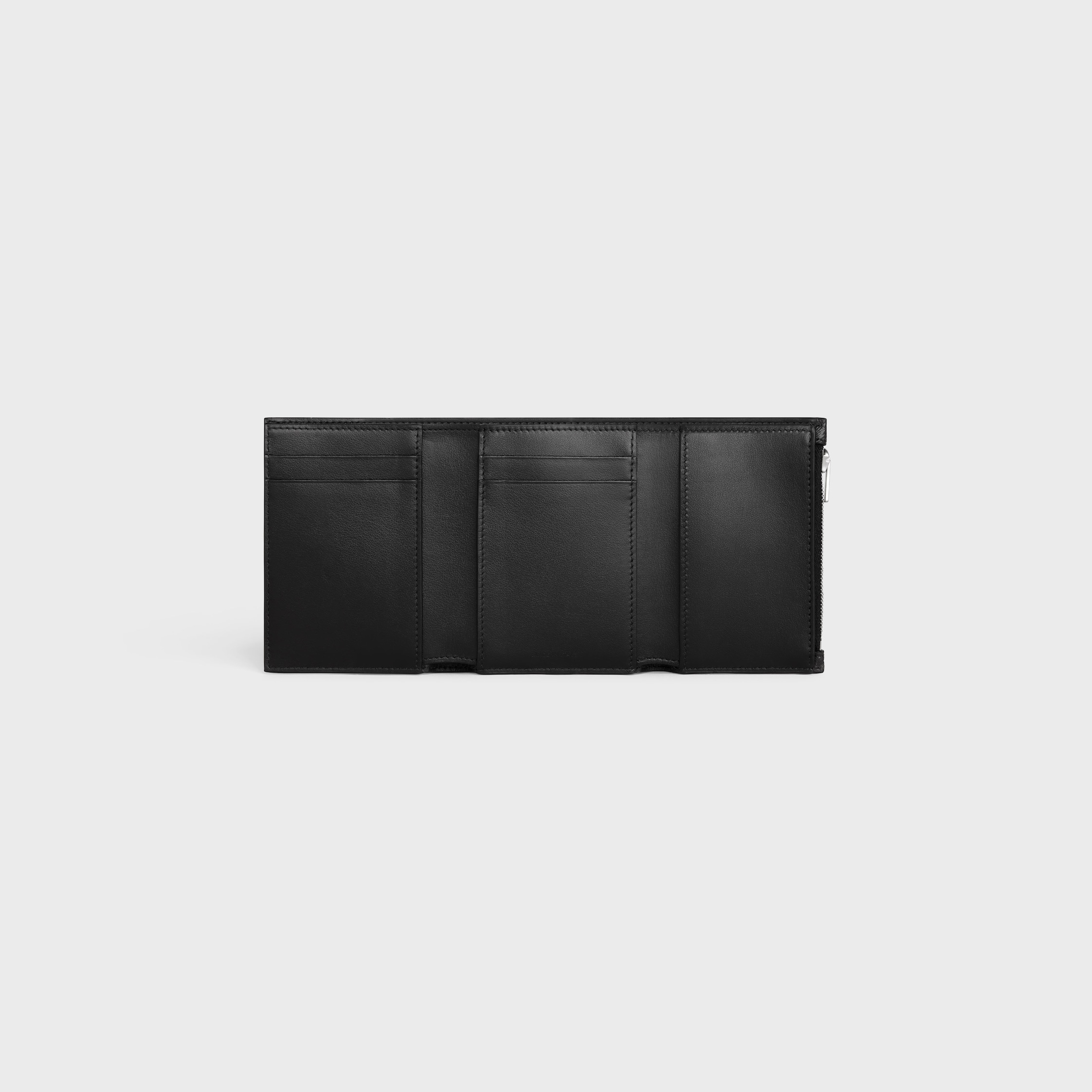 Fine Strap Wallet in Triomphe Canvas and Lambskin - 4