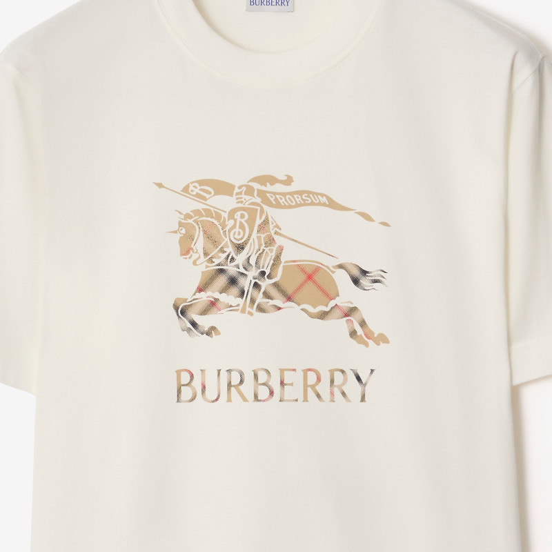 EKD Ombré Cotton T-shirt 4