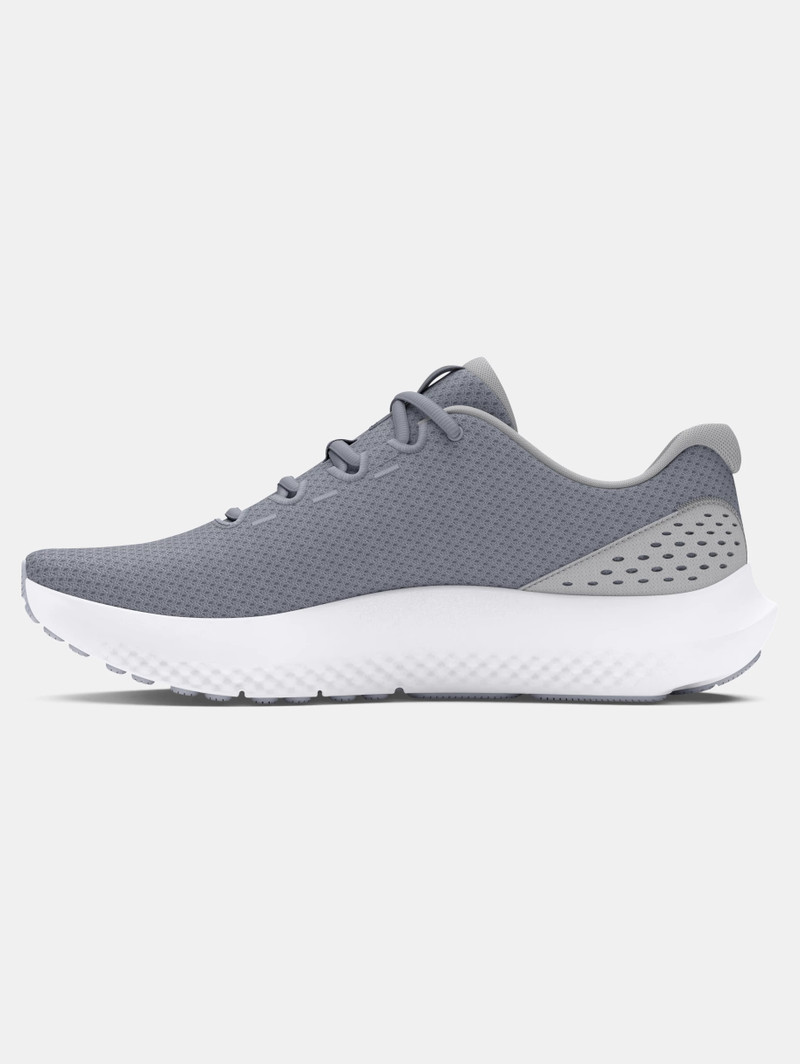 Under Armour Men's UA Surge 4 Running Shoes outlook