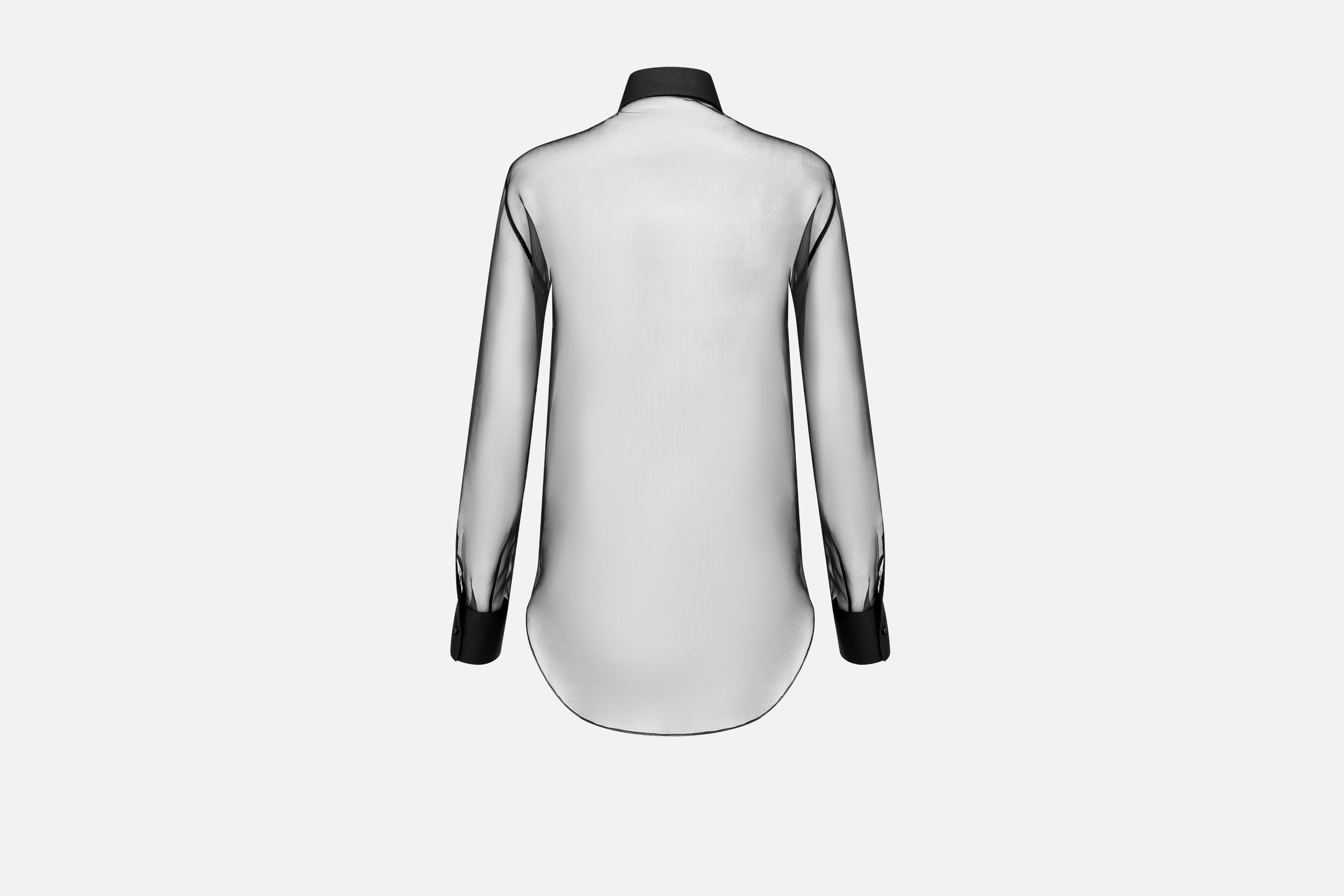 Sheer Blouse with Plastron - 2