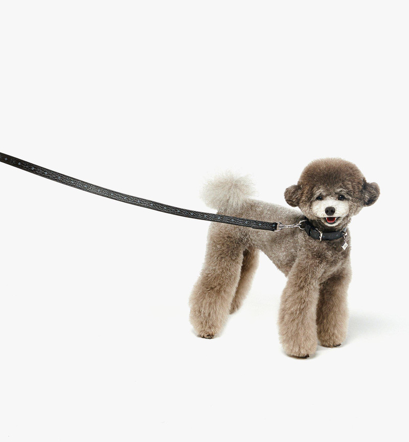 Pet Leash in Monogram Print Leather 4