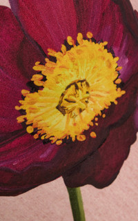 View image 8