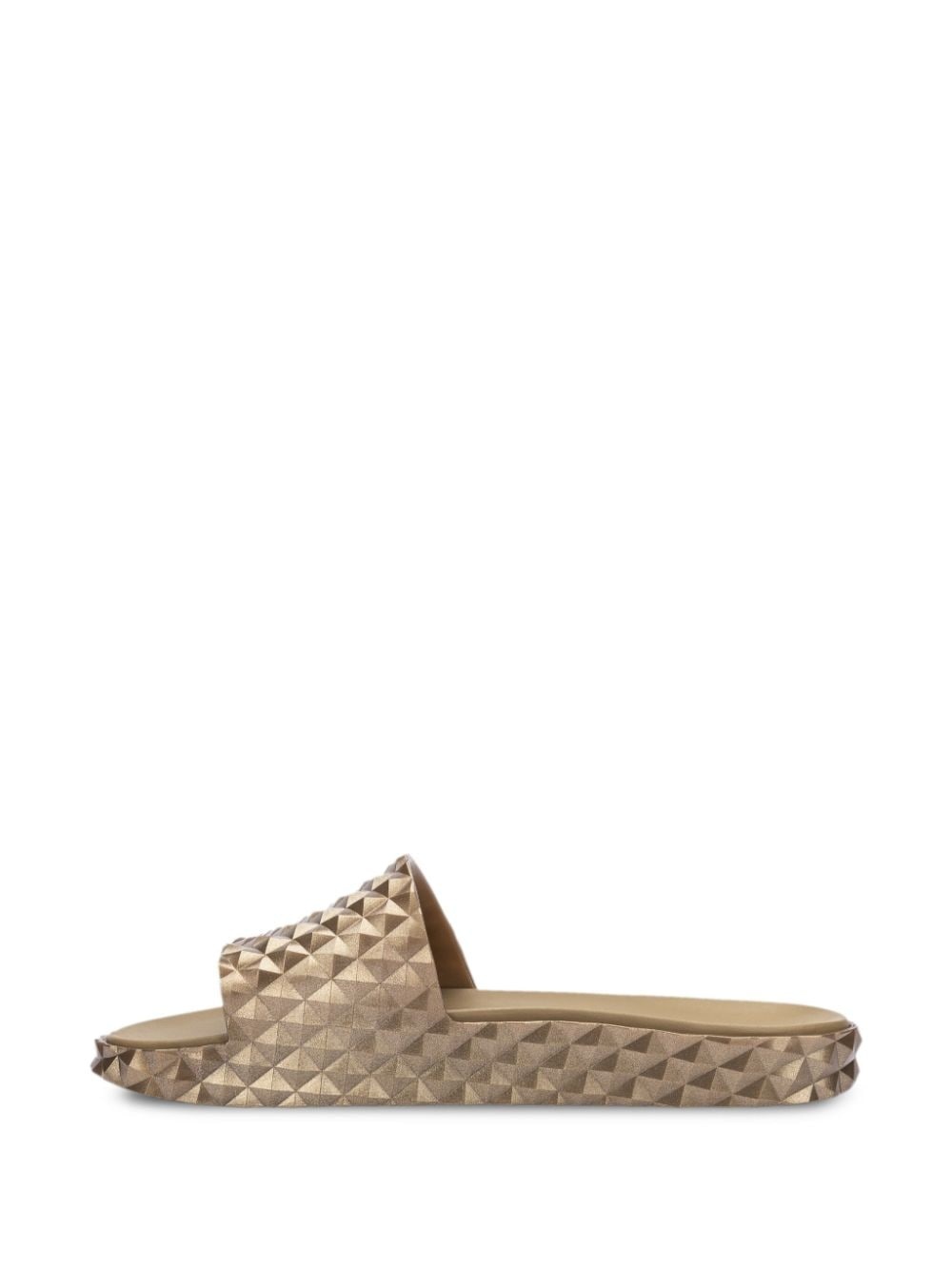 x Melissa Court slides - 3