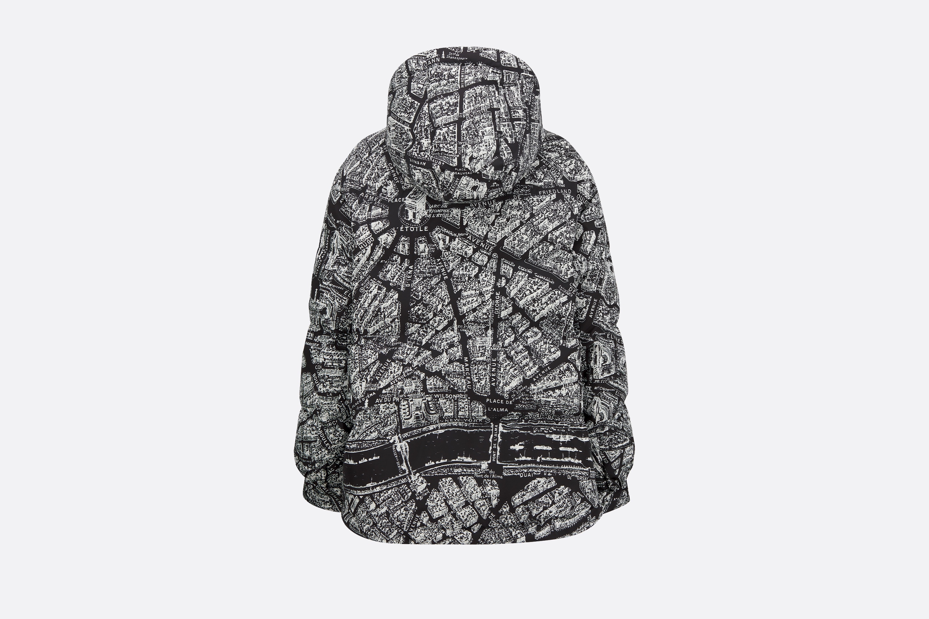 DiorAlps Hooded Down Jacket - 6