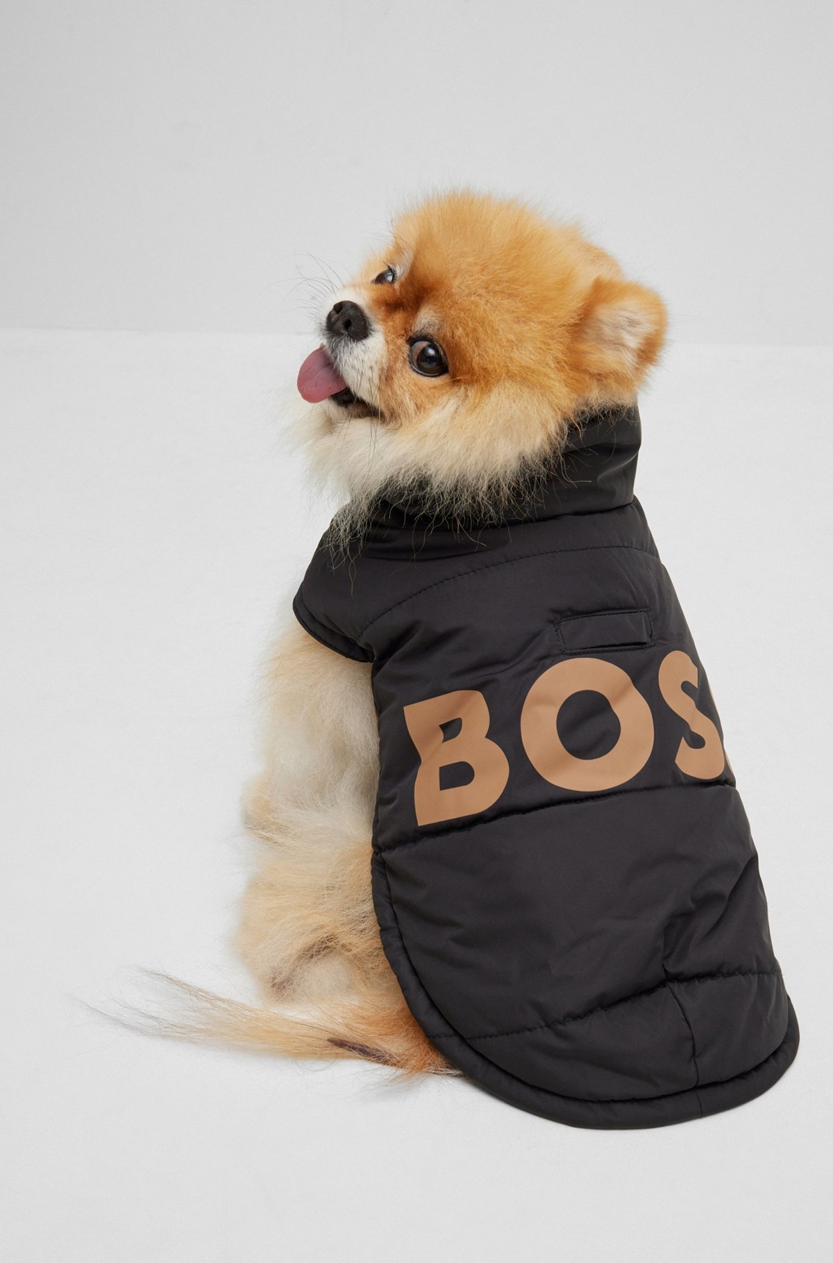 DOG PADDED JACKET WITH CONTRAST LOGO - 3
