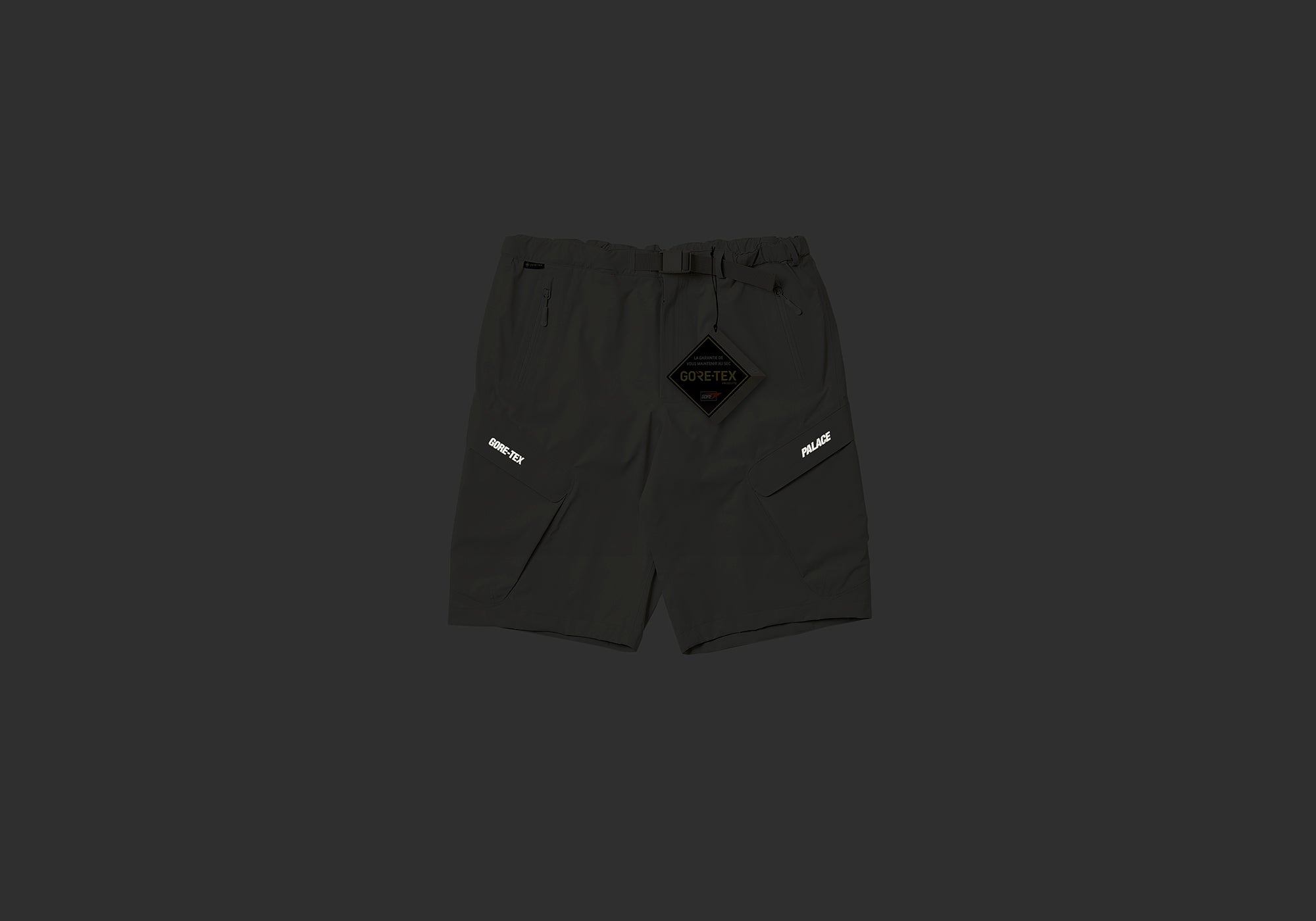 GORE-TEX R-TEK CARGO SHORT STONE - 2