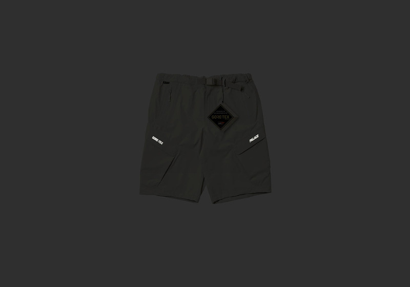 PALACE GORE-TEX R-TEK CARGO SHORT STONE outlook