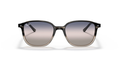 Ray-Ban LEONARD BI-GRADIENT outlook