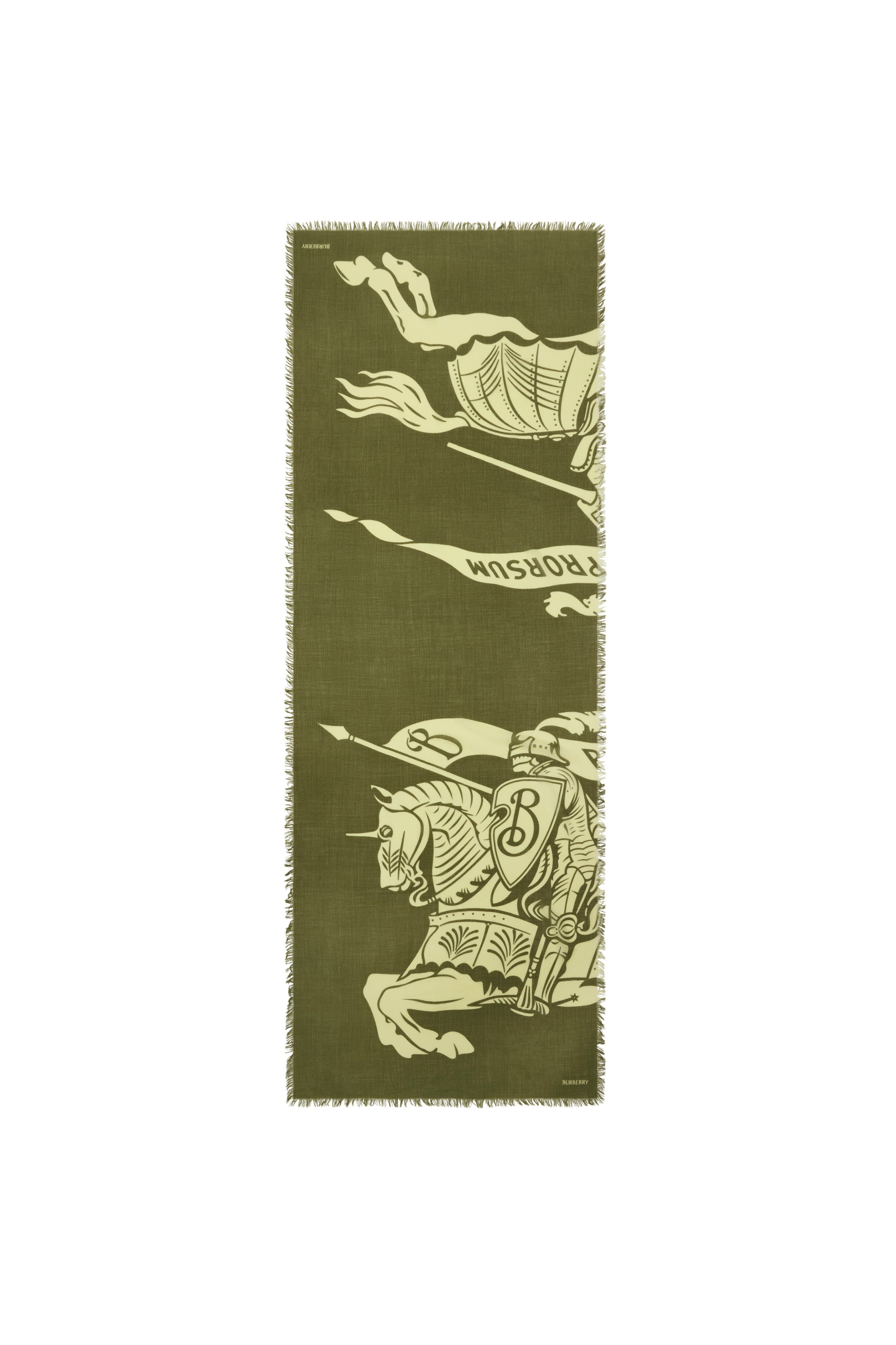 burberry Wide EKD Wool Scarf in Pea at Nordstrom - 6