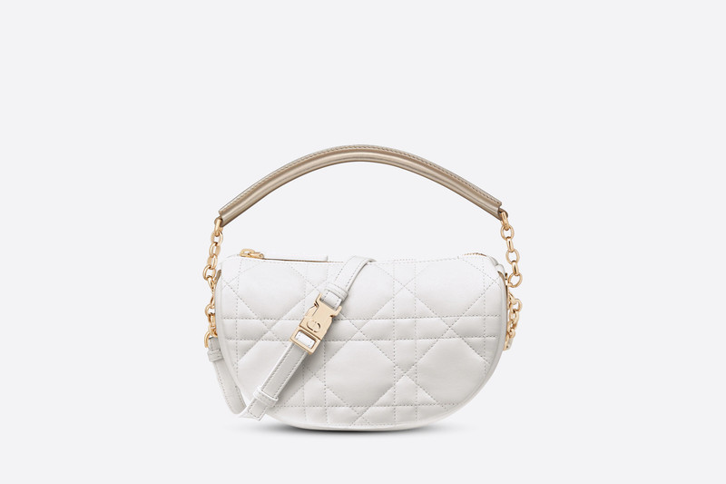 Small Dior Vibe Hobo Bag 1