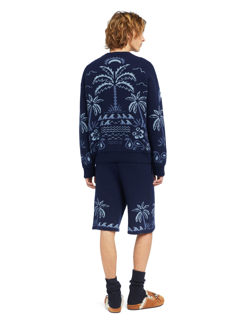 Glimpse Of Eden Sweater 6
