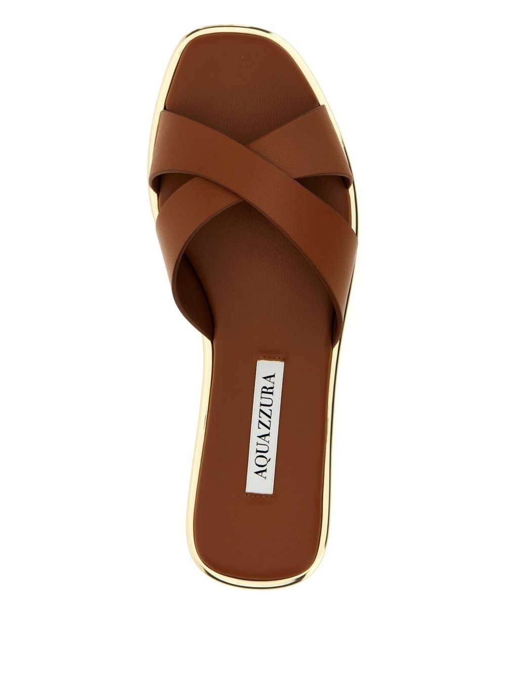Divine slides - 4