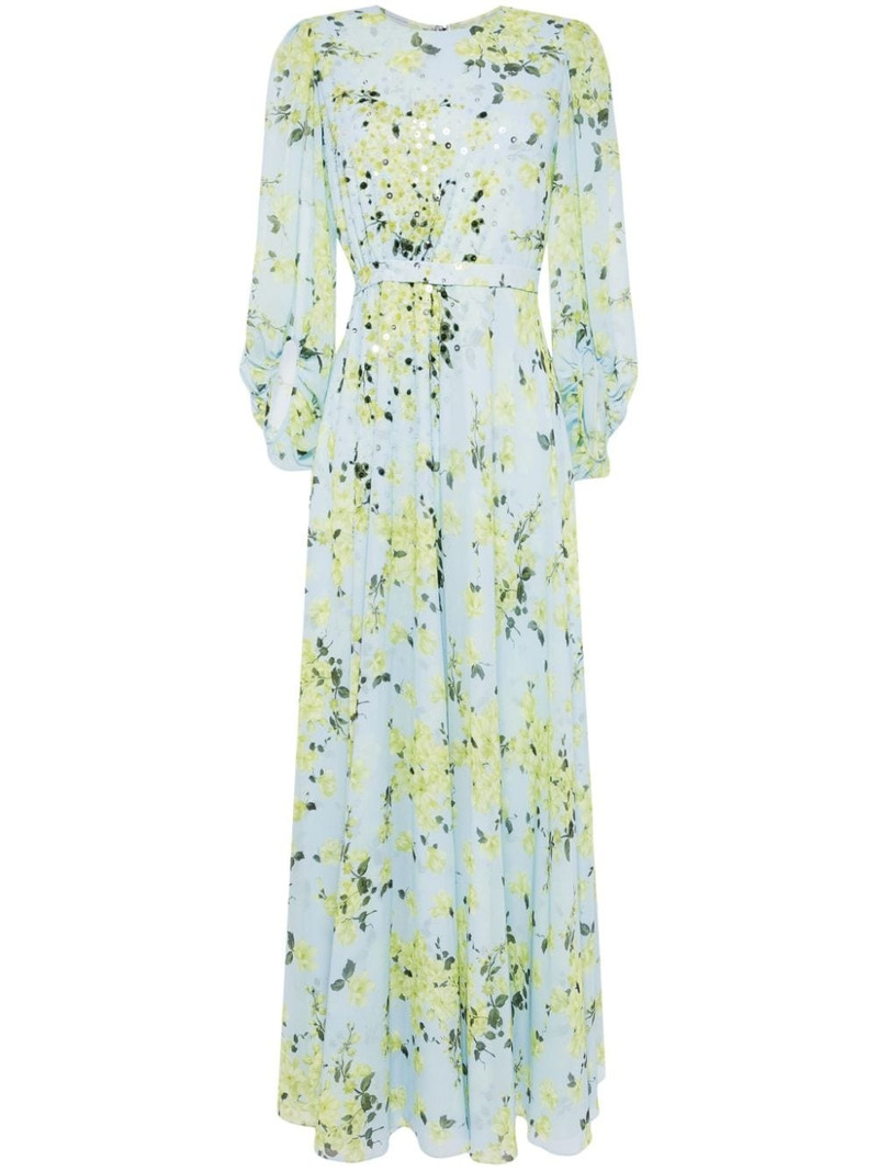 Bianca chiffon gown 1