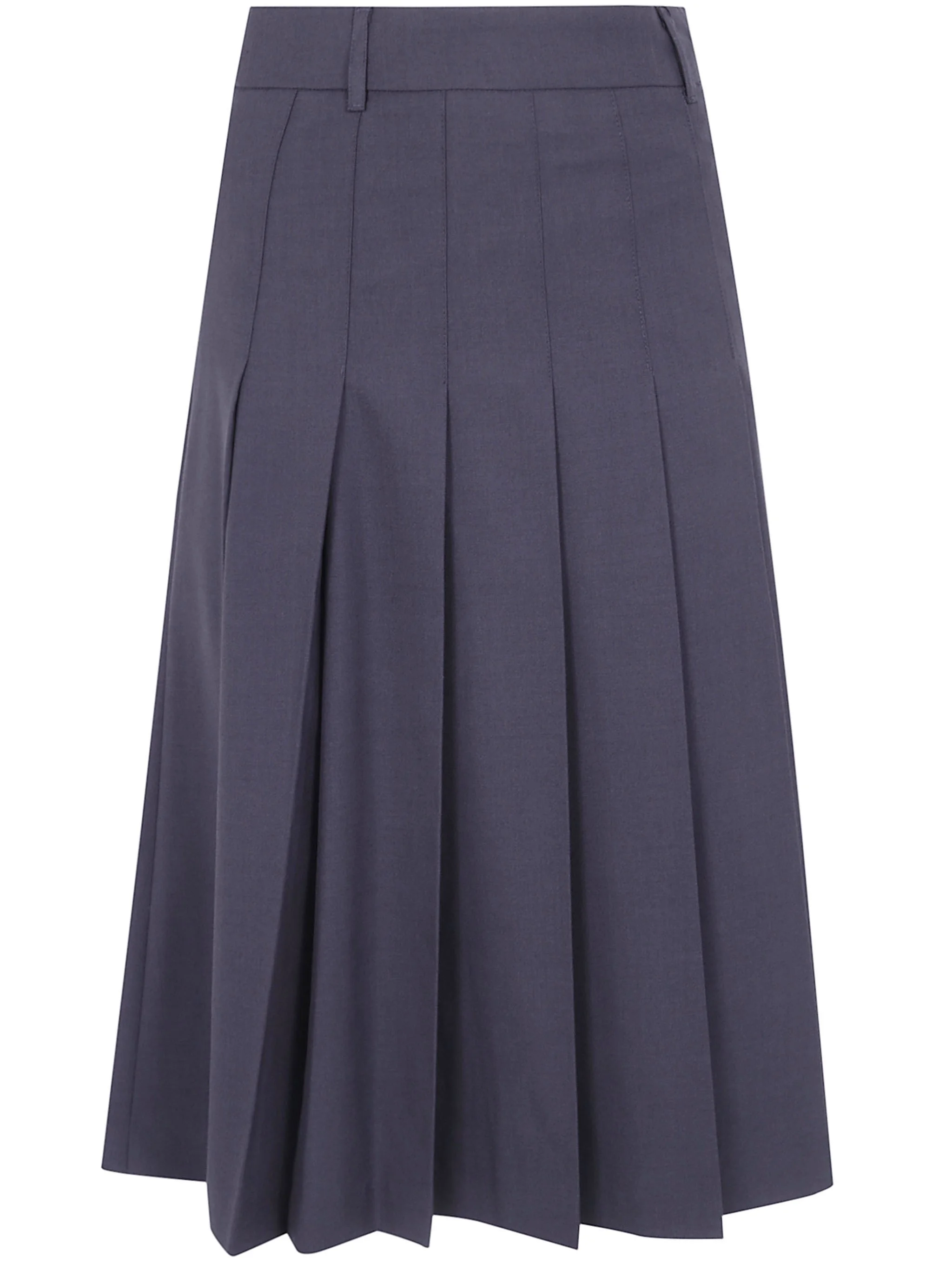 Pleated Long Skirt Pleats Long Skirt - 1