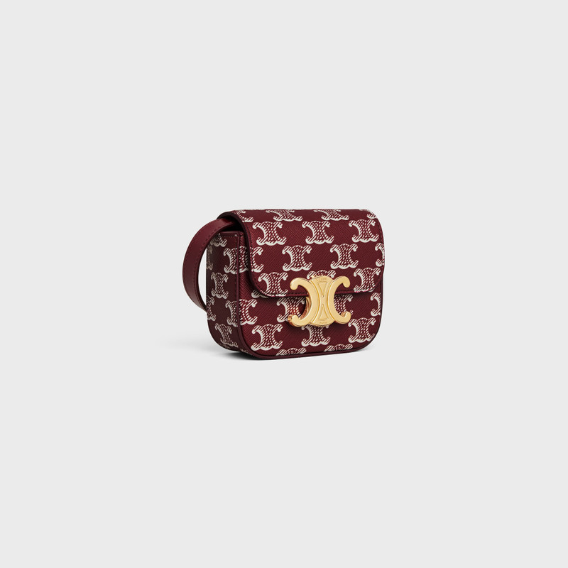 CELINE MINI CLAUDE in TRIOMPHE CANVAS TWO-TONE outlook