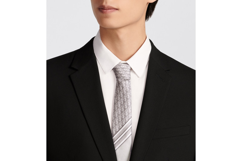 Striped Dior Oblique Tie 4