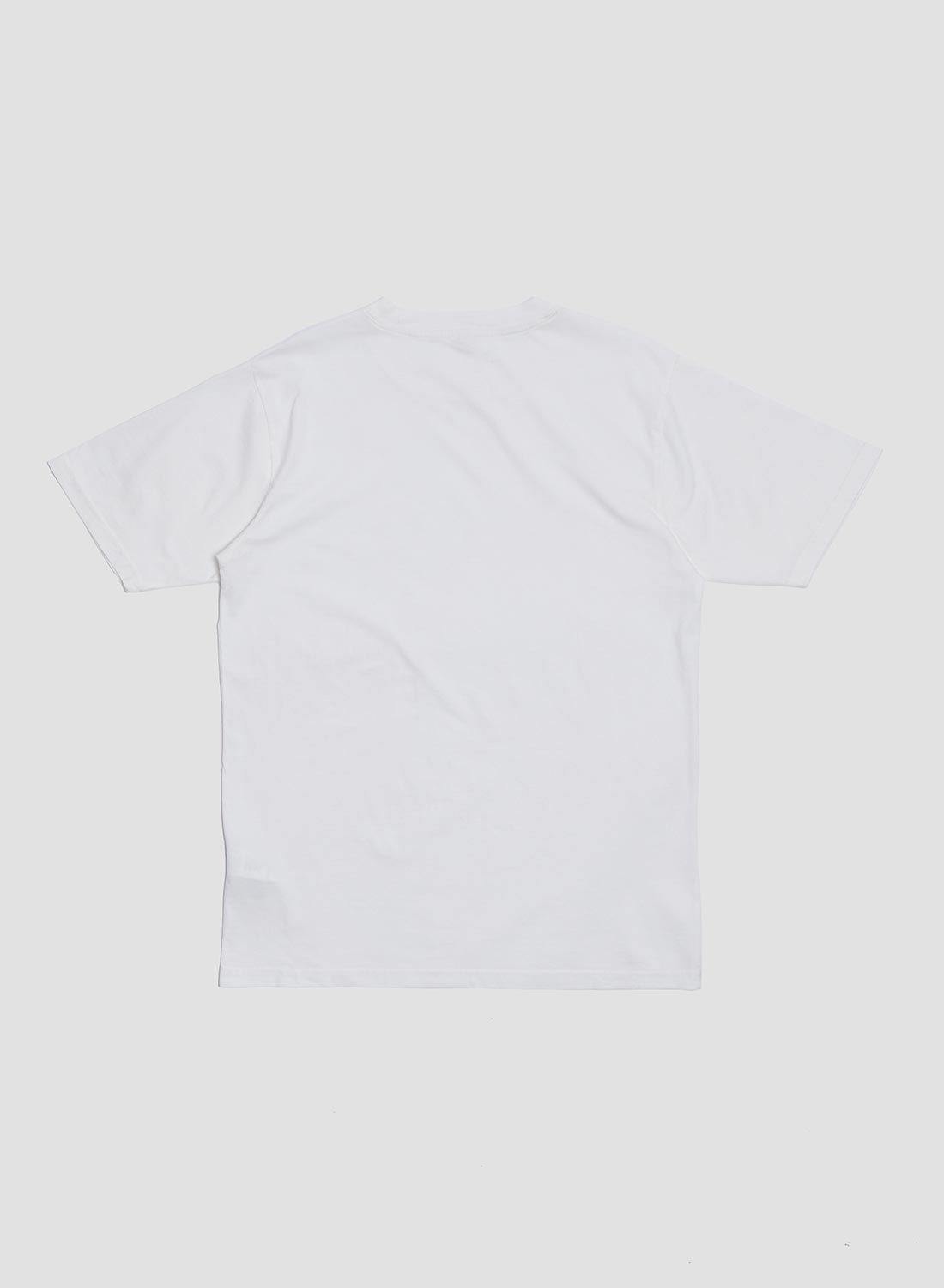 Embroidered Relaxed Fit Tee in Stone Wash White - 3