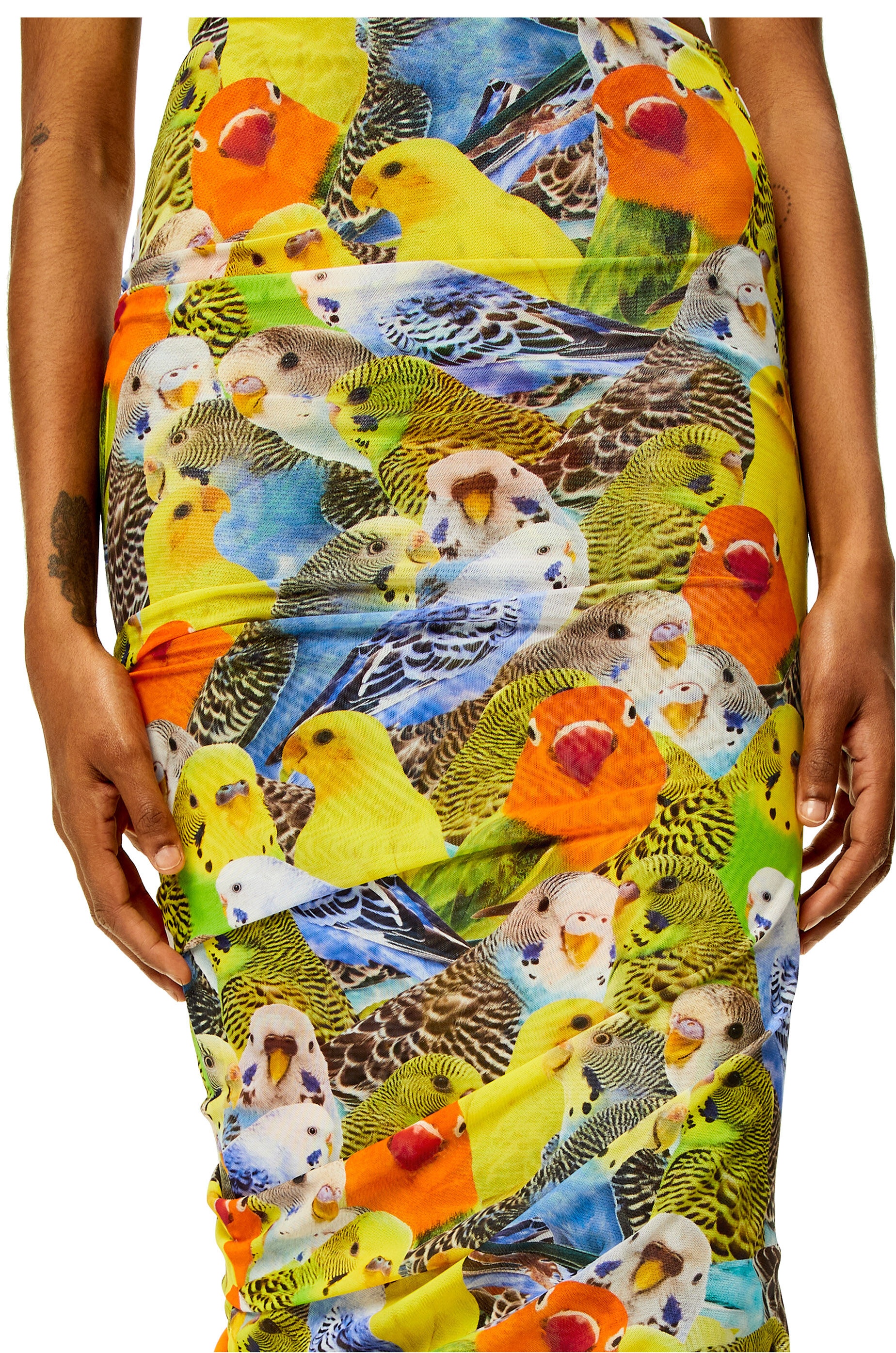 Parrots skirt in mesh - 5