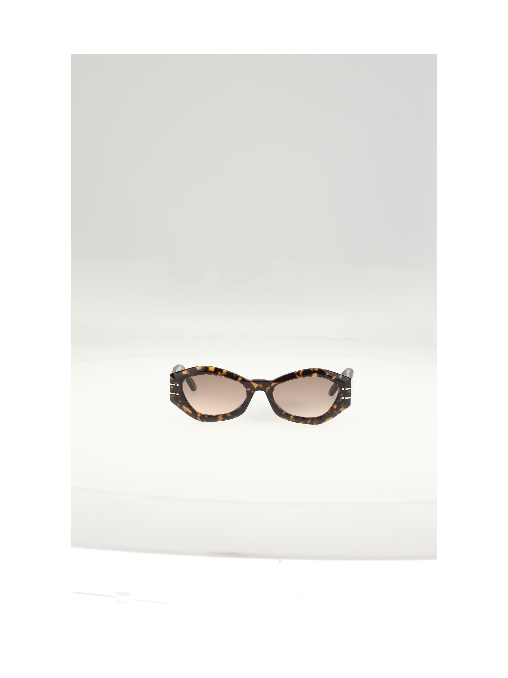 Dior Women Diorsignature B1uxr Sunglasses - 1