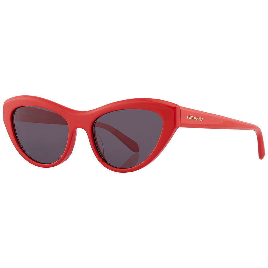 Salvatore Ferragamo Grey Cat Eye Ladies Sunglasses SF1103S 600 55 - 3