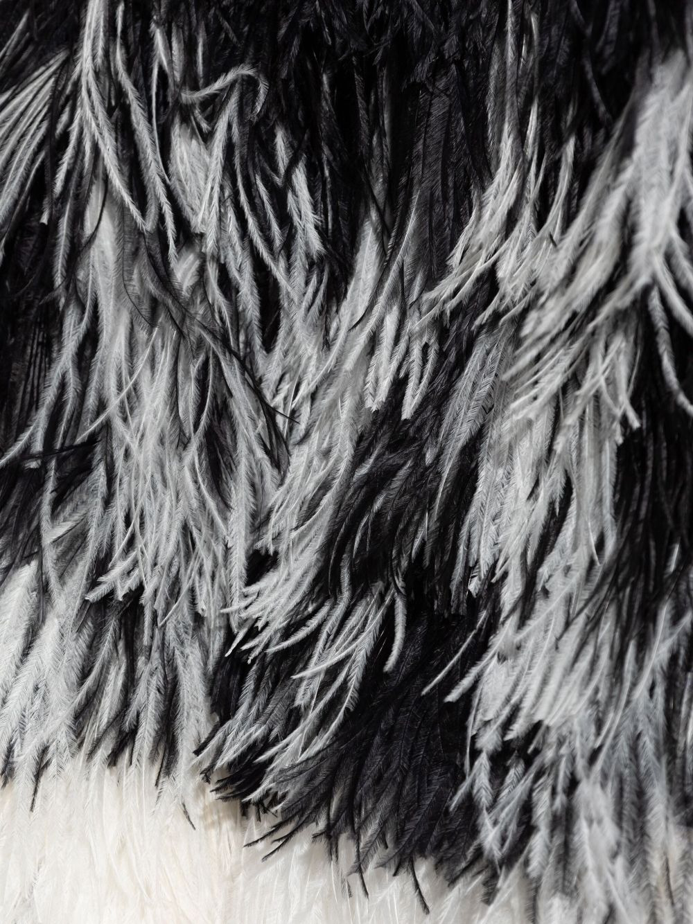 feather-trimmed jacket - 5