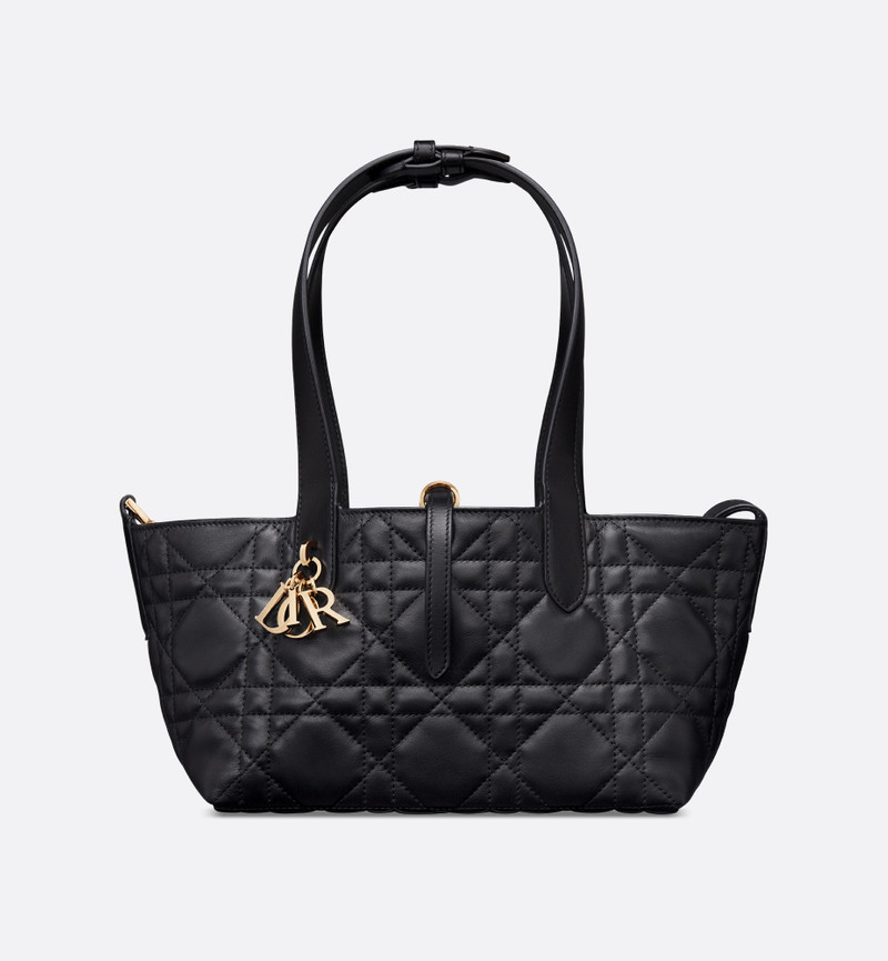 Small Dior Toujours Bag 6