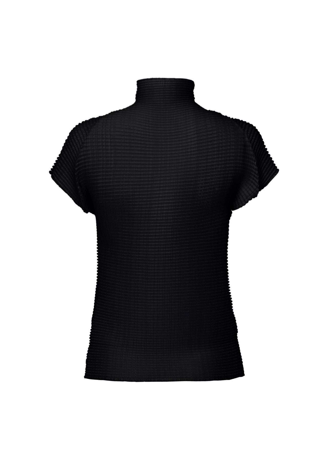 WOOLY PLEATS BK/WT-46 TOP - 2