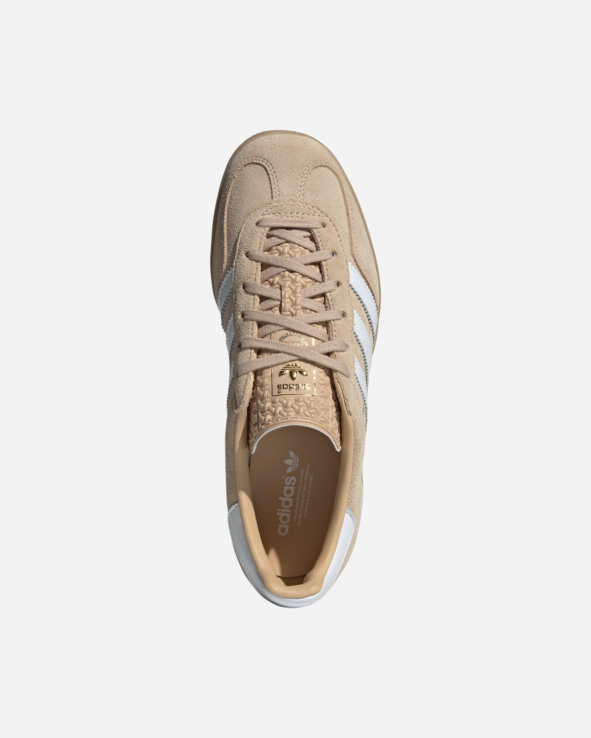 Gazelle Indoor - 5