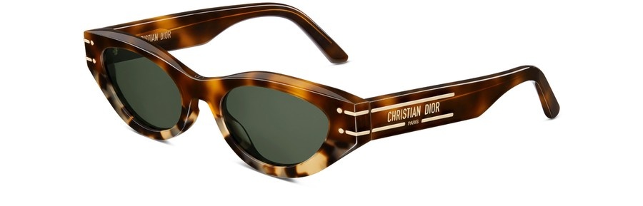 Dior Signature B4I 4