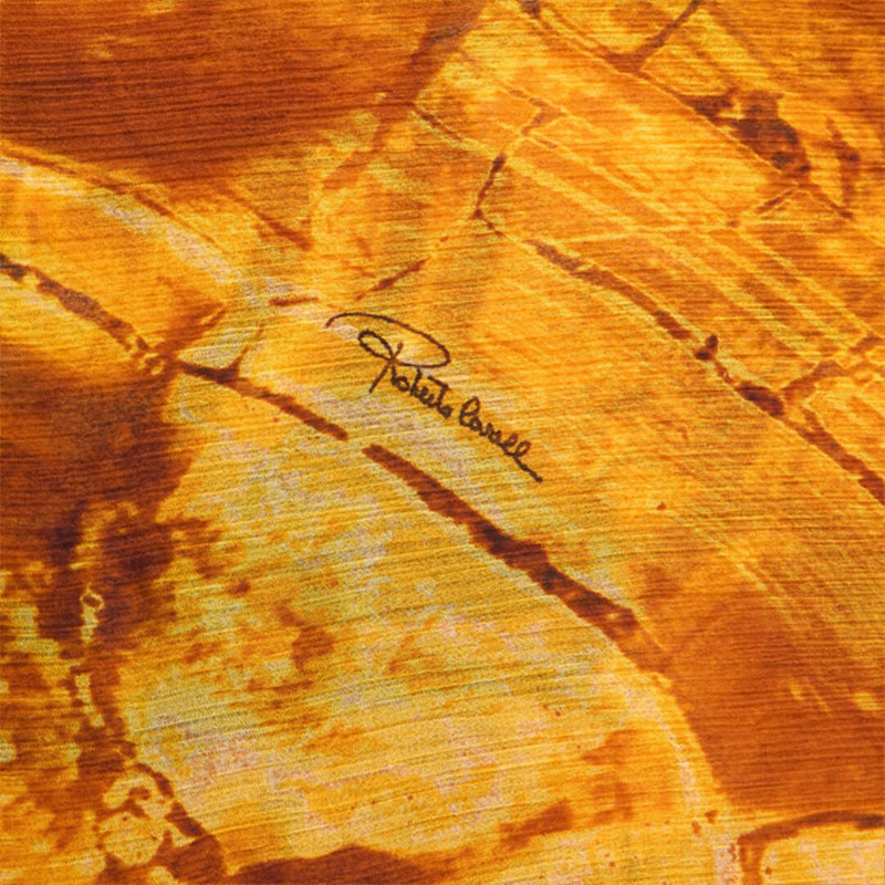 Roberto Cavalli Stole with Amber Print outlook