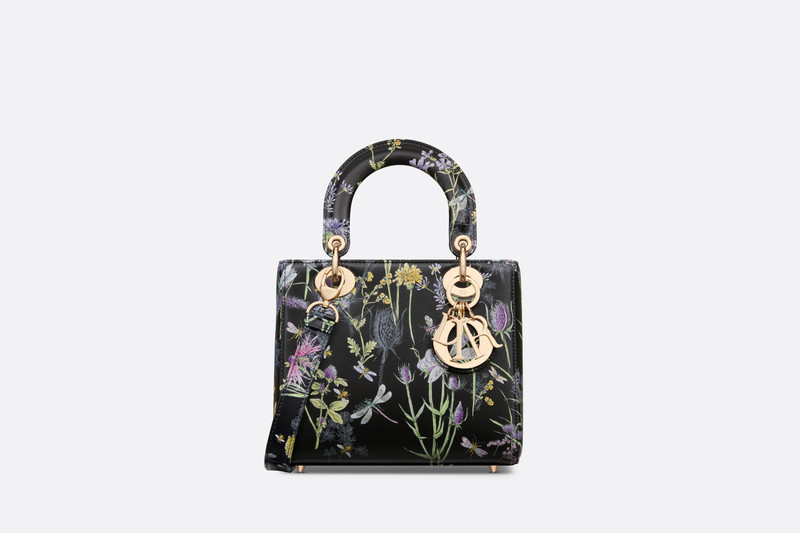 Small Lady Dior Bag 1
