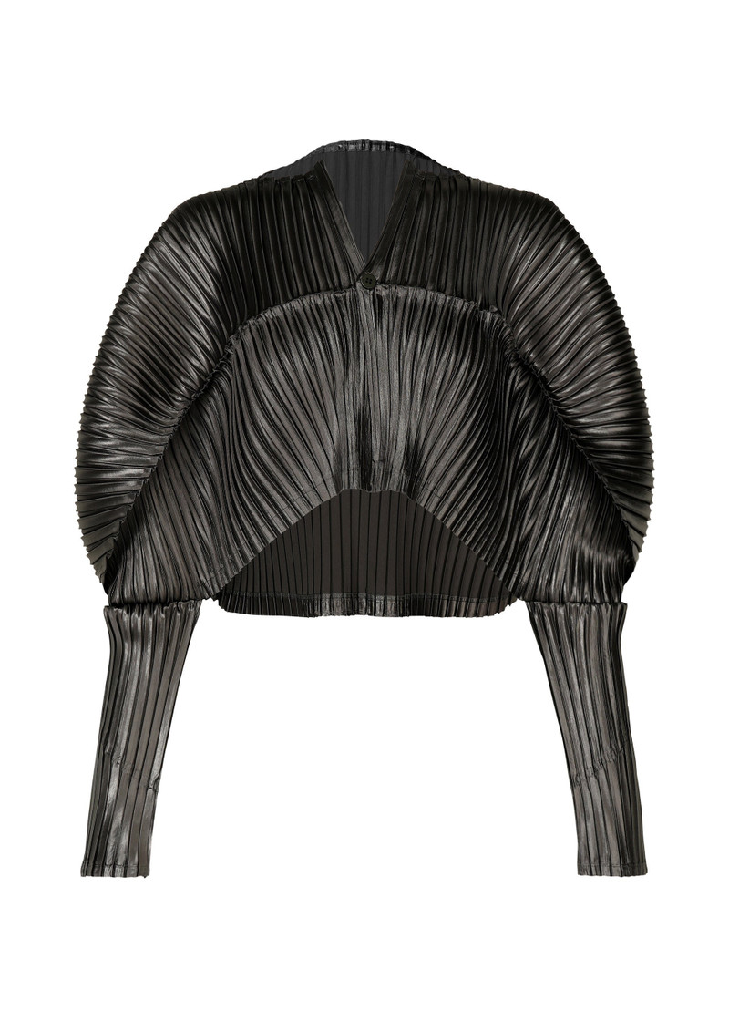 GLOSSED METAL PLEATS 1