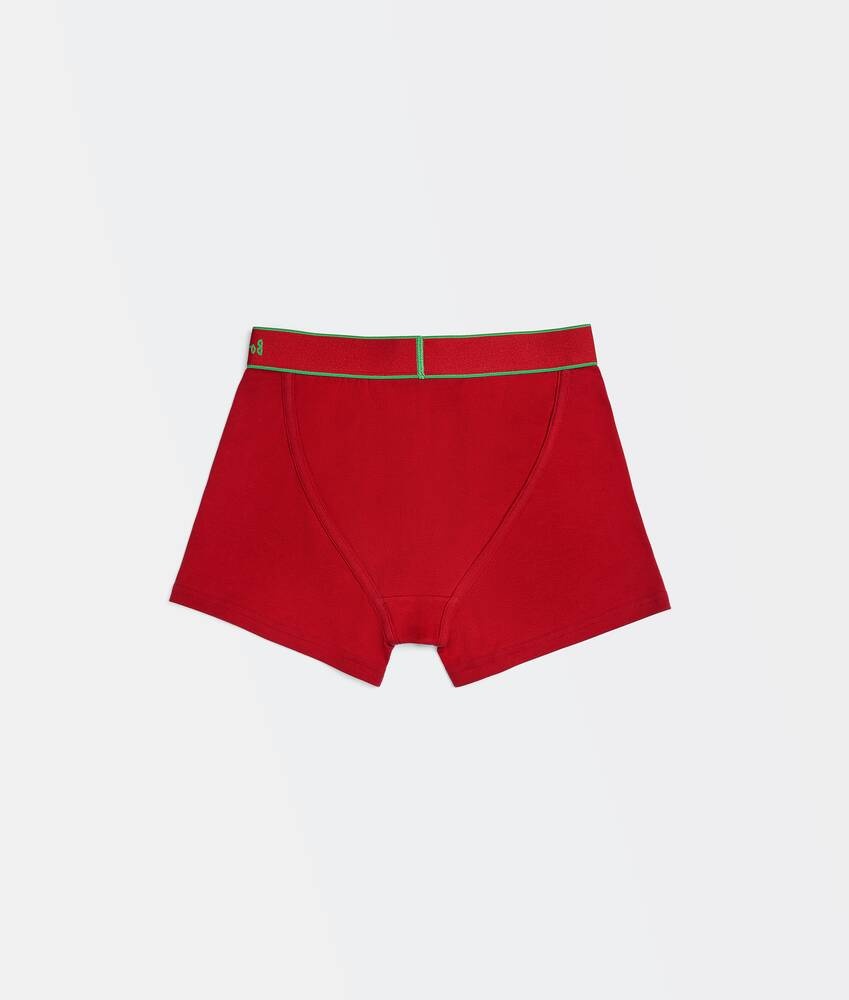 boxer briefs - 5