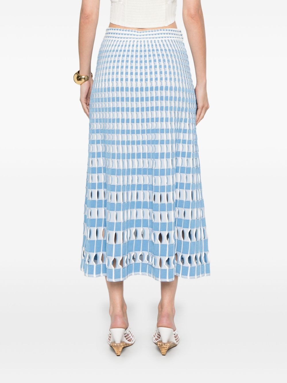 Larken midi skirt - 4