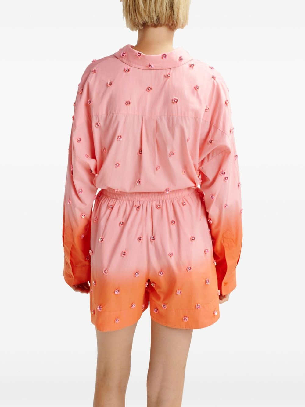 Hichigan shorts - 5