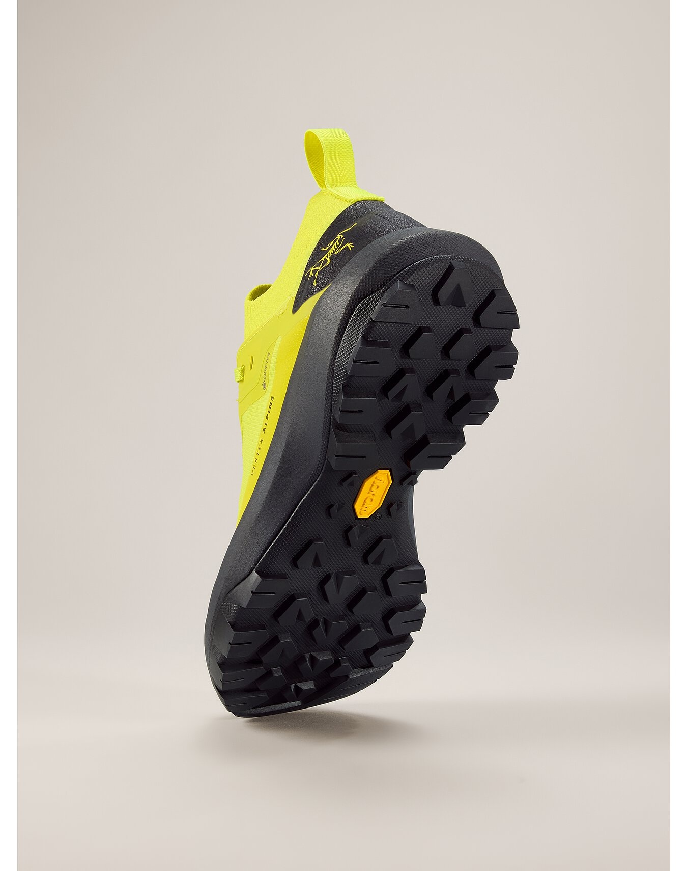 Vertex Alpine GTX Shoe - 4