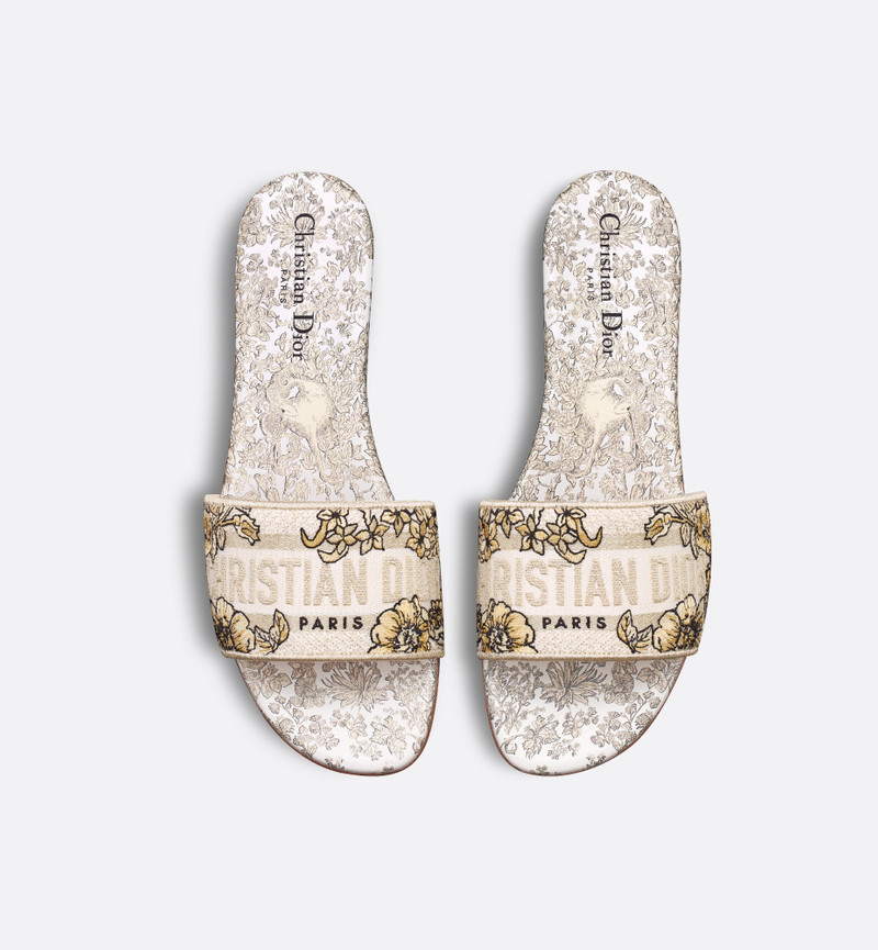 Dior Dway Slide outlook
