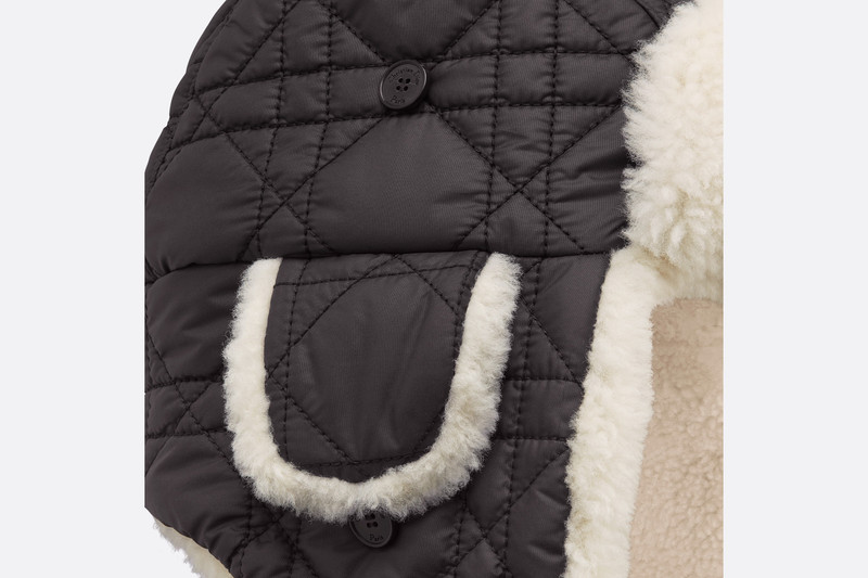 Dior Frost Shapka 10