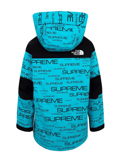 Supreme x The North Face Coldworks 700-fill fown parka outlook