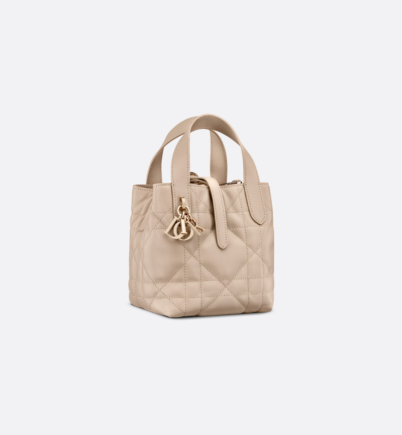 Dior Toujours 수직 나노 토트 백 1