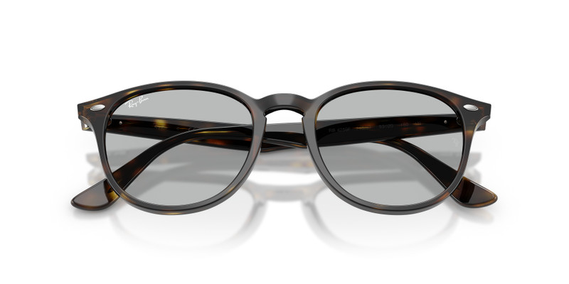Ray-Ban RB4259 outlook