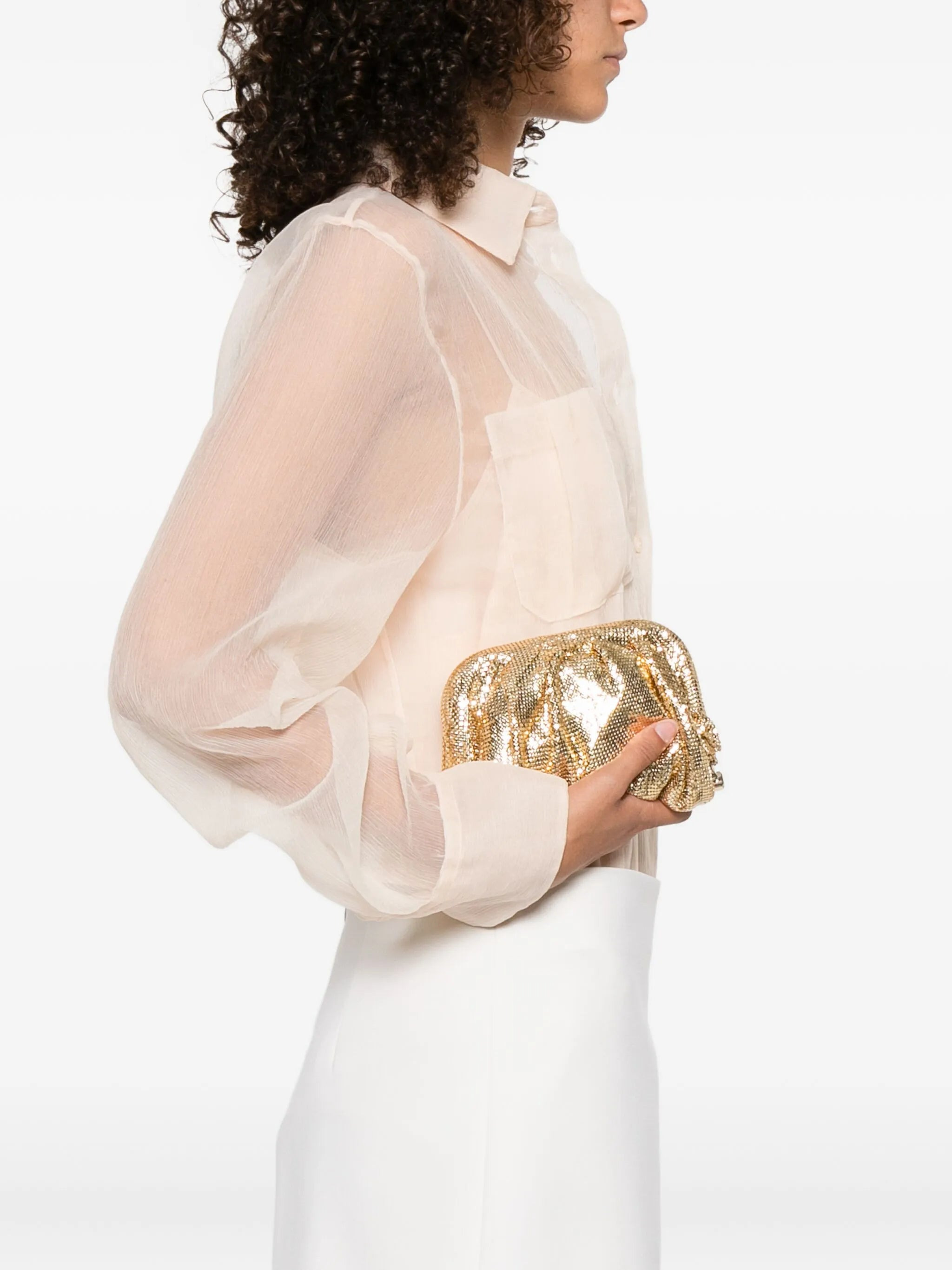 Benedetta Bruzziches Chainmail Clutch - 5