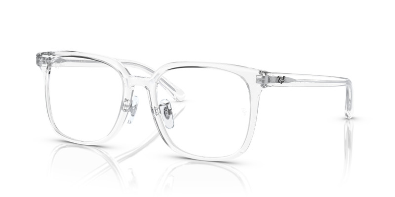 RB5419 OPTICS 1